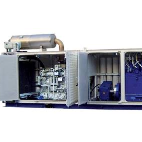 Gas engine driven compressor